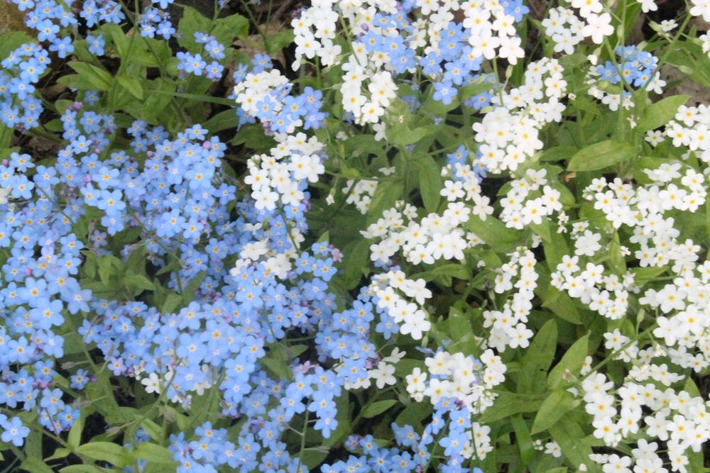 Photograph by Кирилл Елесин