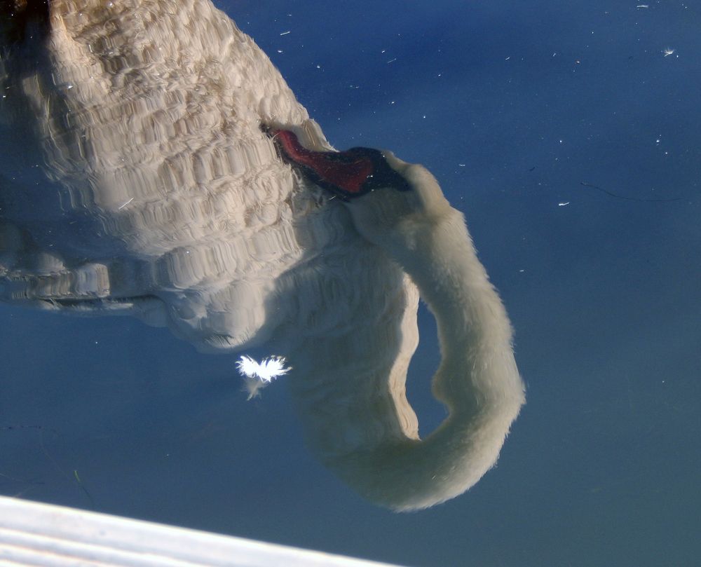 Photograph by Кирилл Елесин