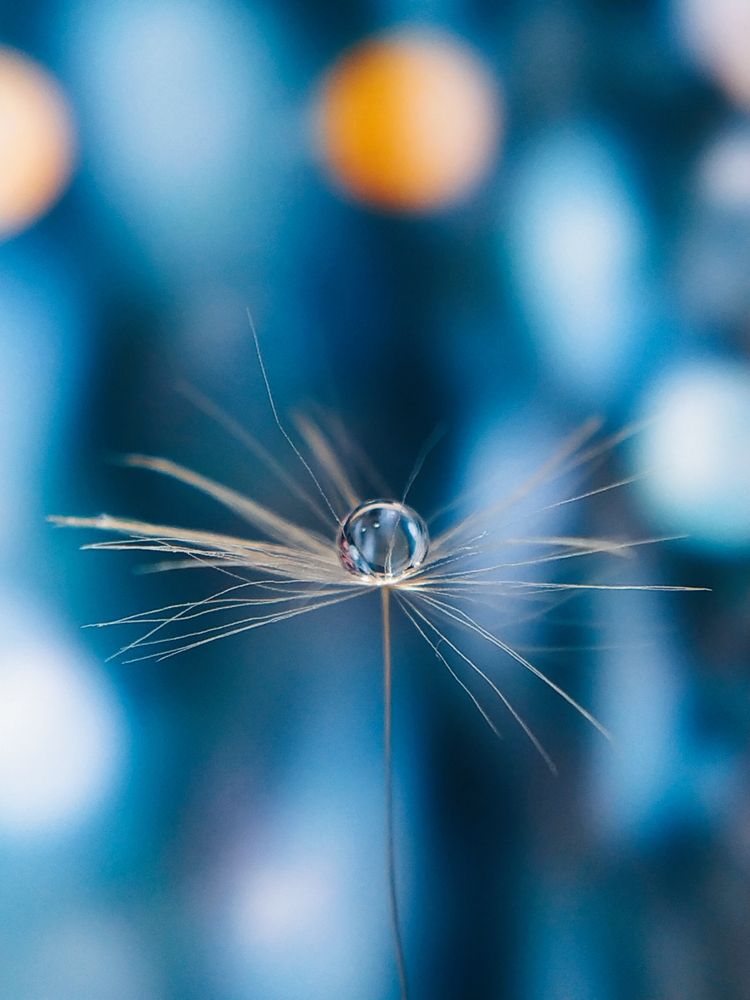 Фотография автора Наталья Алексеева