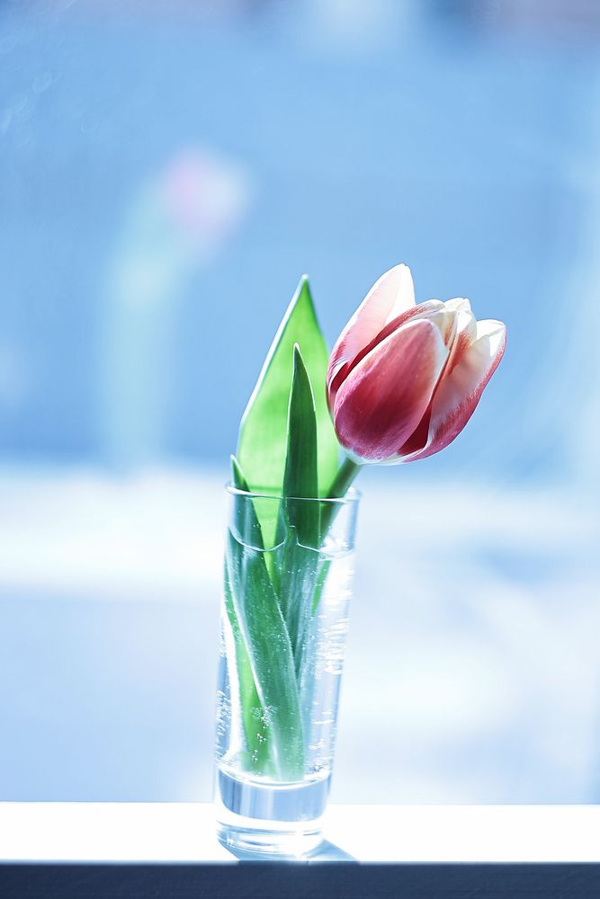 Photograph by Анна