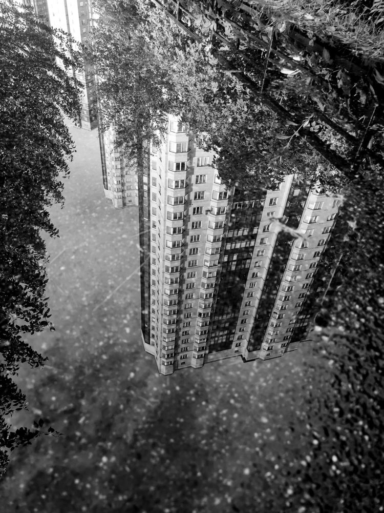 Photograph by Алина Стемковская