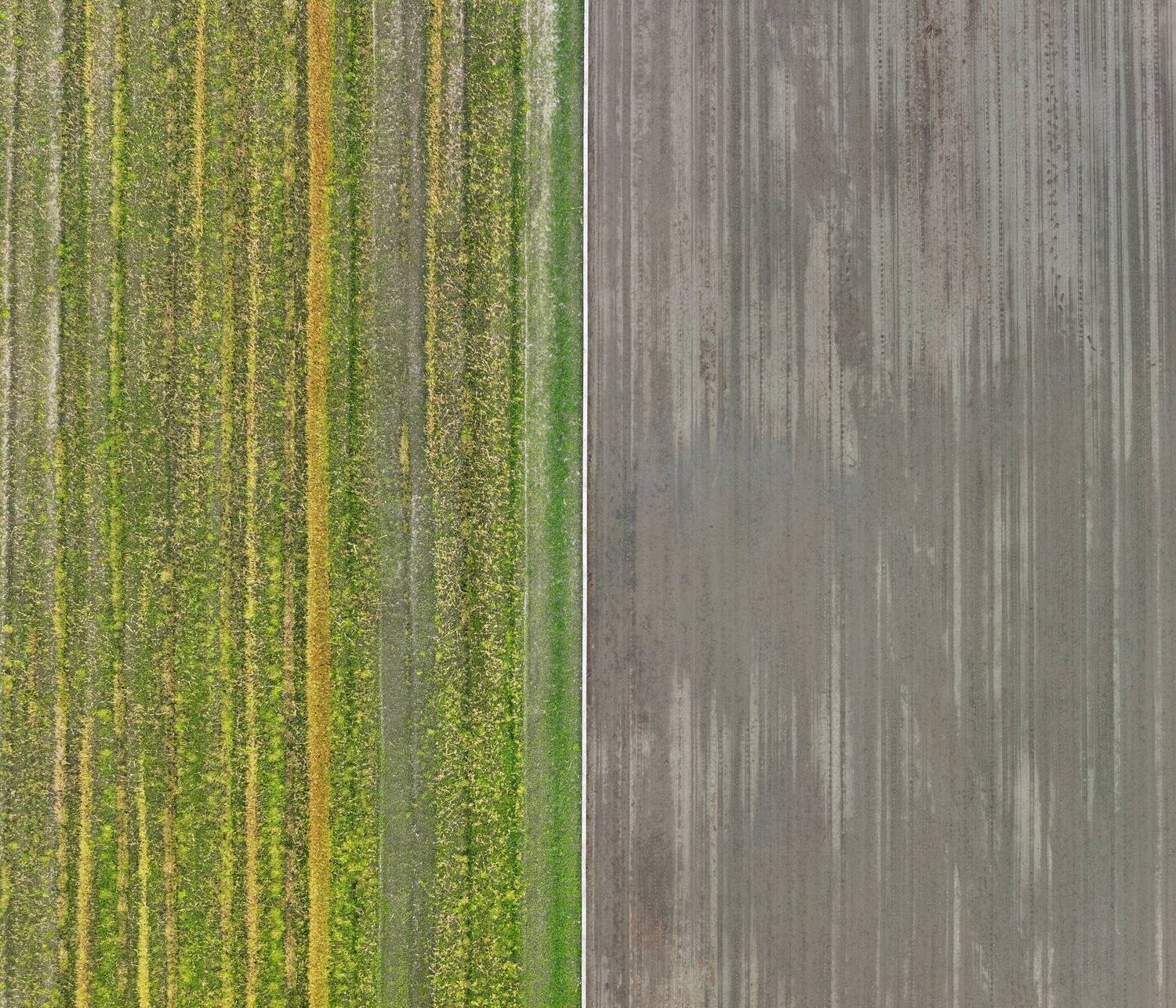 Hadong 02_2025 Hadong 02_2025