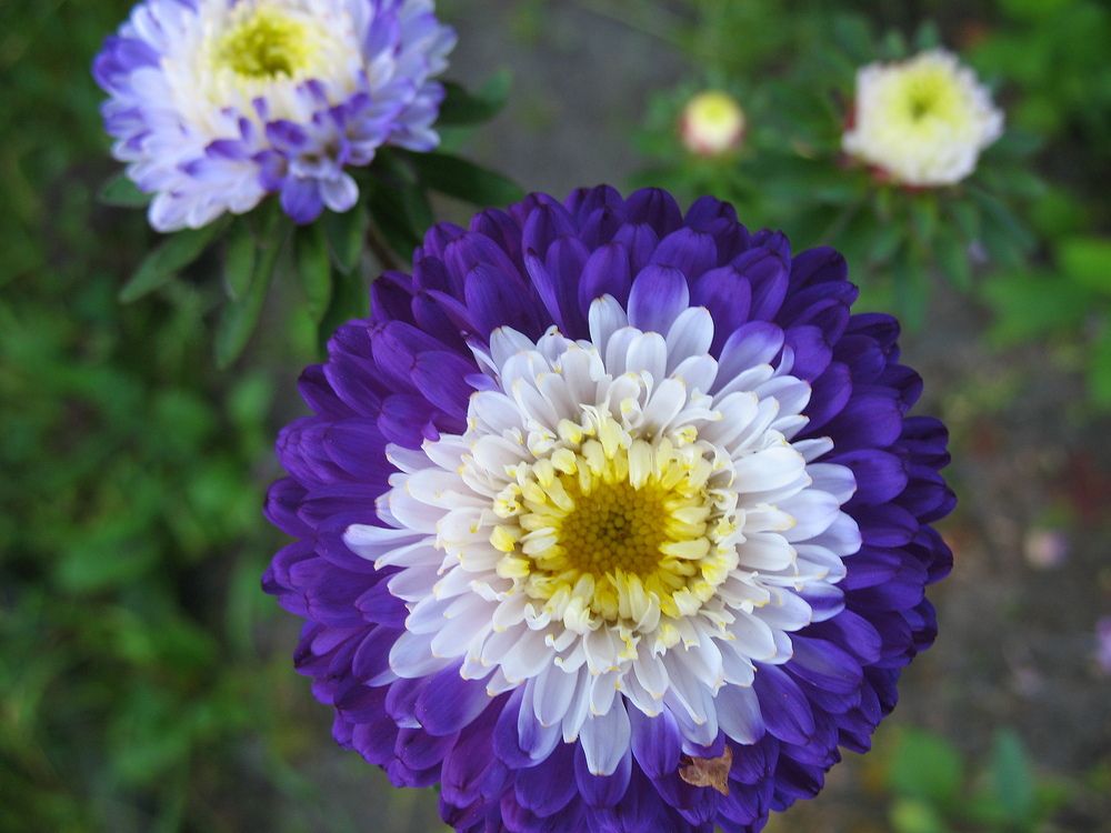 Photograph by Владимир