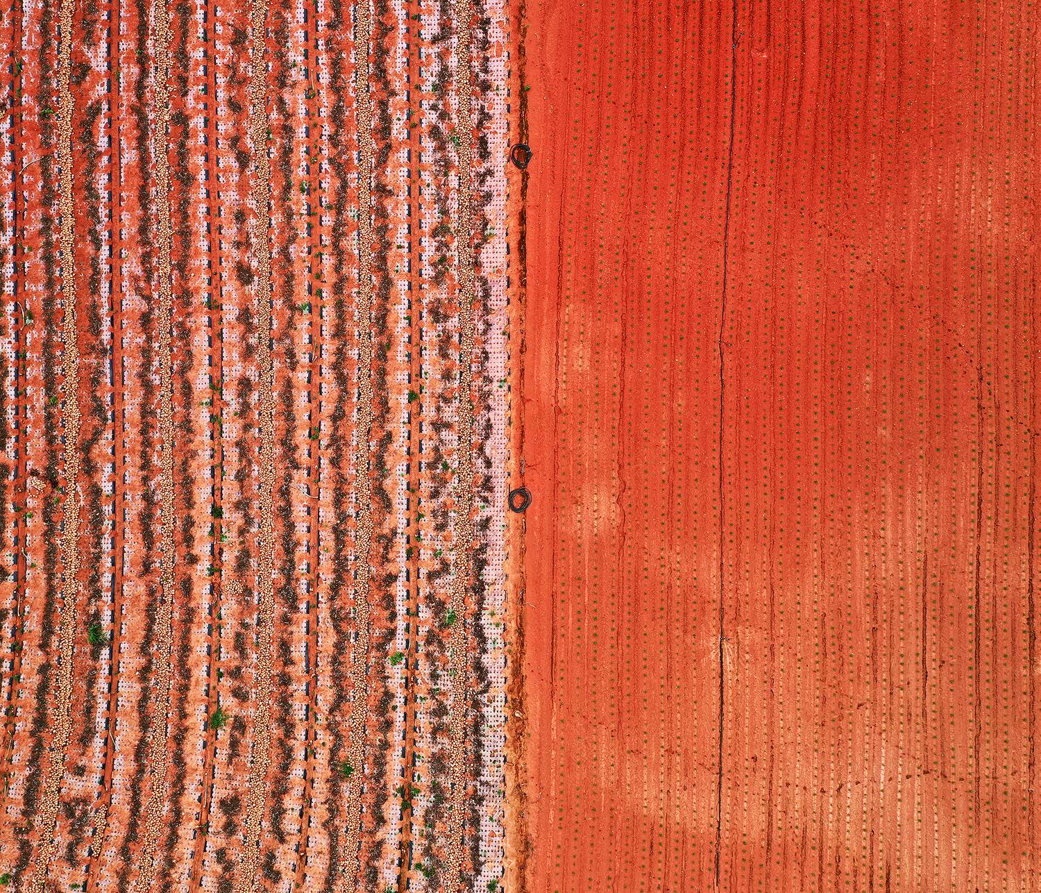 JeonNam ShinAn, 2021