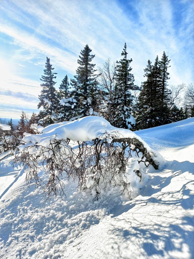 Мобильная съемка