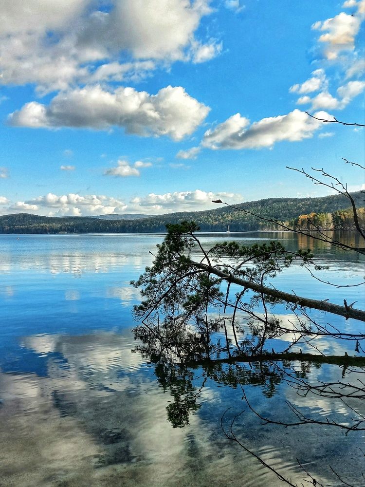 Мобильная фотография