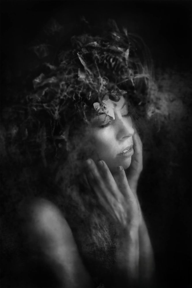 Photograph by Shelley Harvey