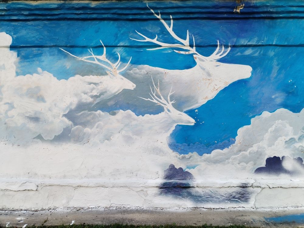 Photograph by Юлия Финогенова