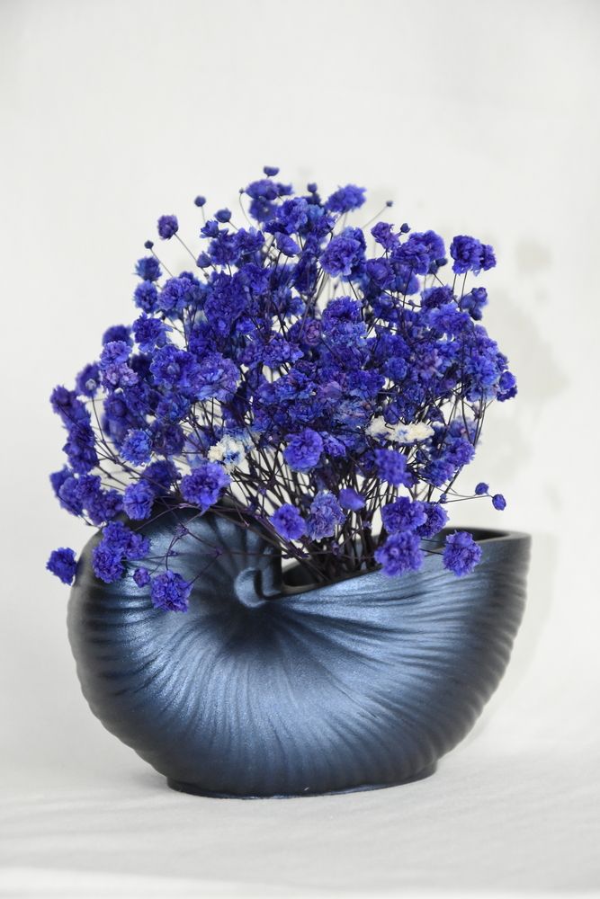 Photograph by Юлия Финогенова