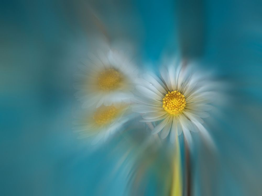 Photograph by Vincent PICCIOTTO