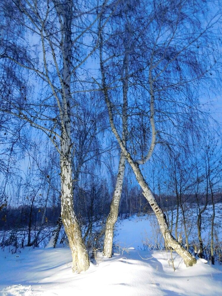 Photograph by Чкареули Светлана