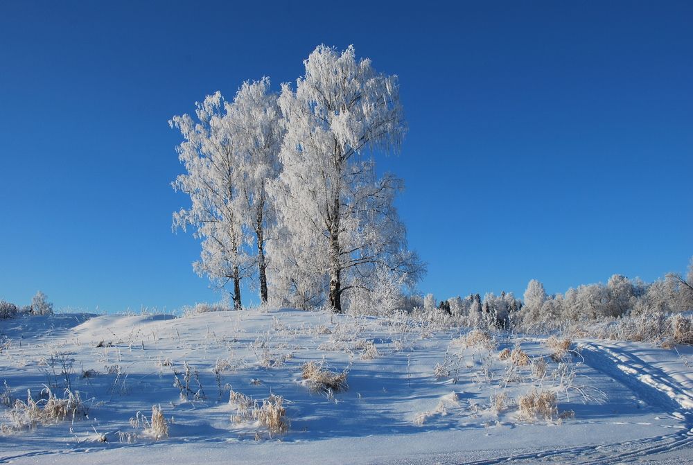 Фотография автора Наталья Липовская