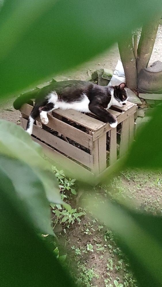 Photo #12962899