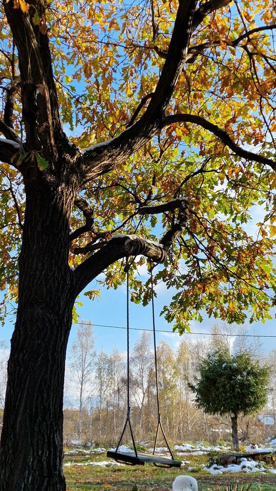 Photograph by Дарья Агапова