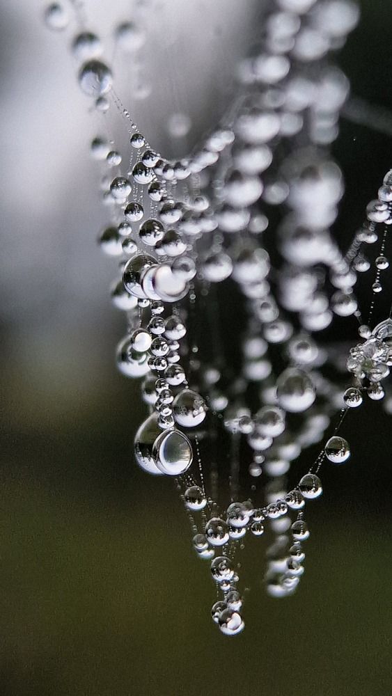 Photograph by Дарья Агапова