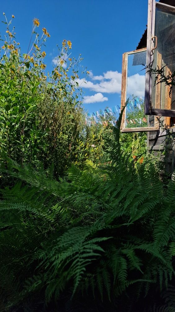 Photograph by Дарья Агапова