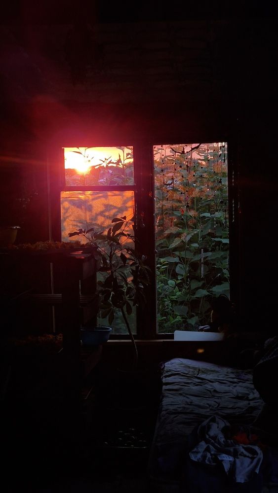 Photograph by Дарья Агапова