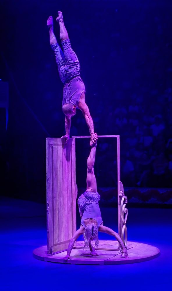 Фотография автора Алёна С-К