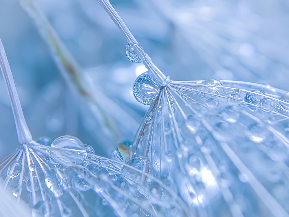 Фотография автора Наталья Алексеева