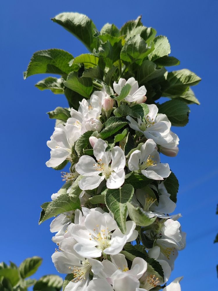 Photograph by Евгения