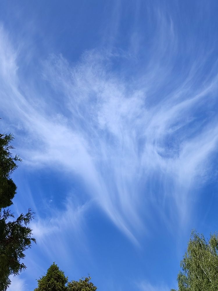 Photograph by Евгения