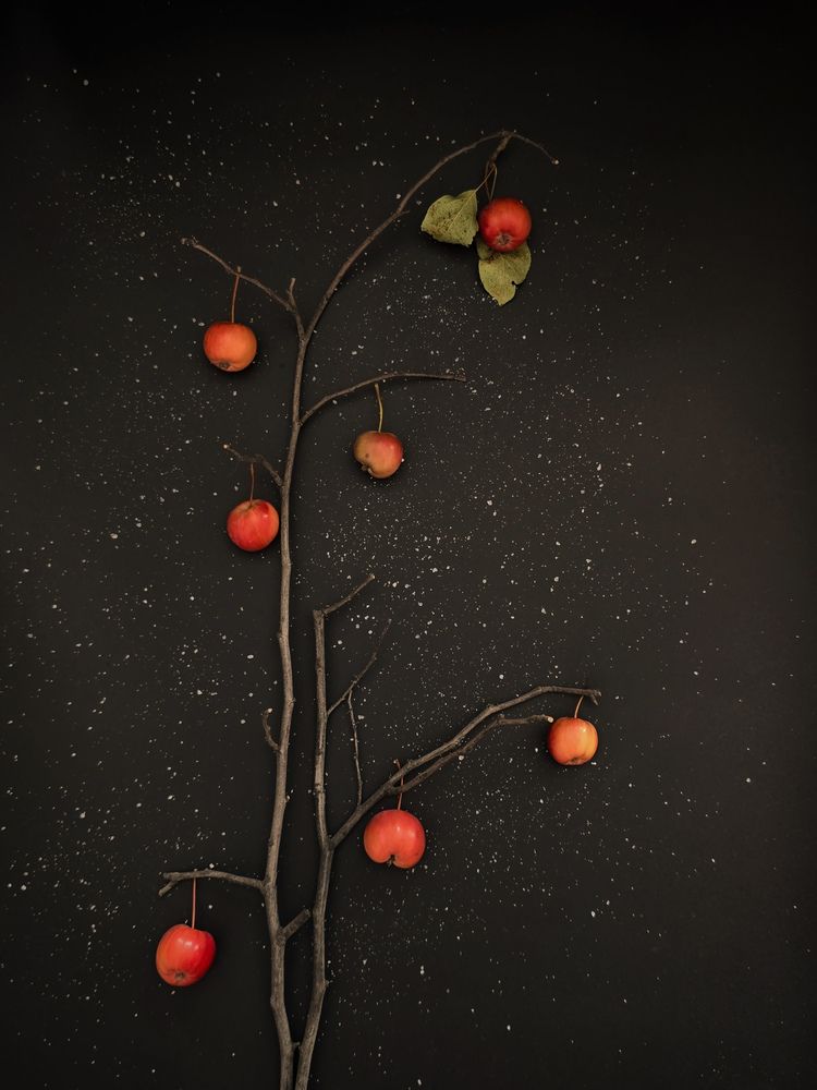Photograph by Наталья Чурашова