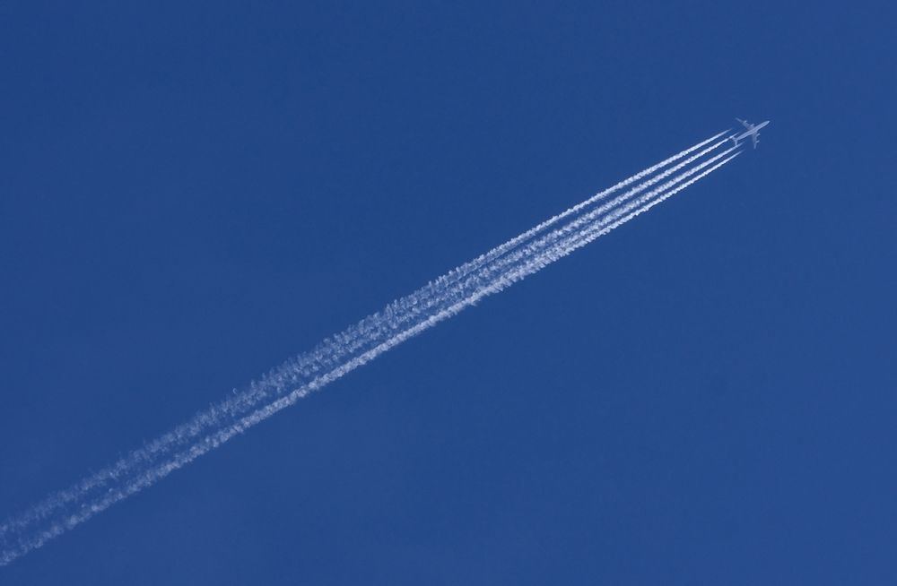 Photograph by Allan Wallberg