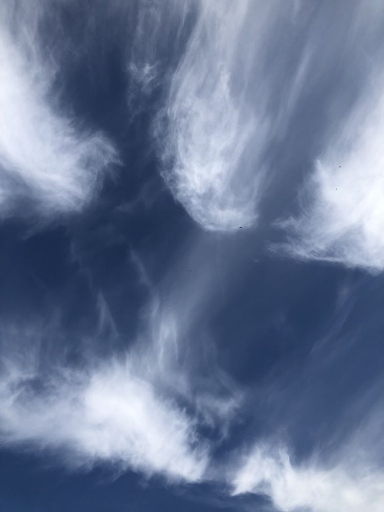 Photograph by Valentina Jegorova