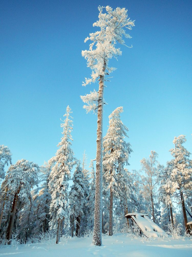 Фотография автора Кристина Киселёва