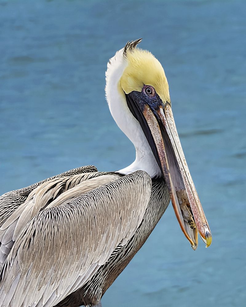 Фотография автора Jeff Cooley