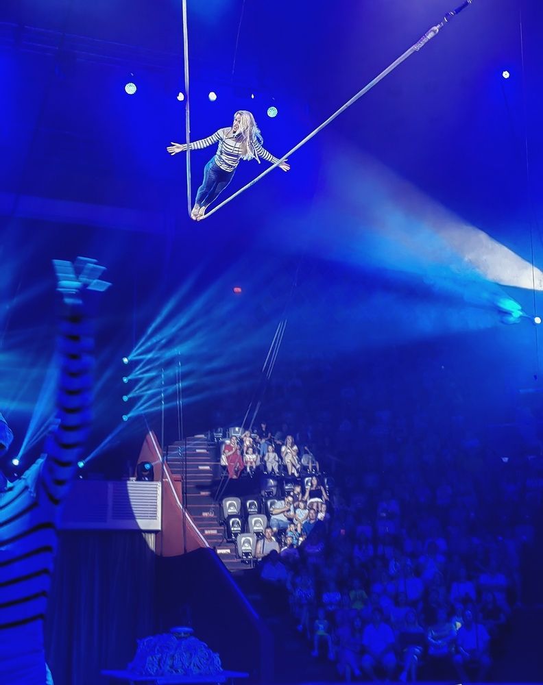 Фотография автора Алёна С-К