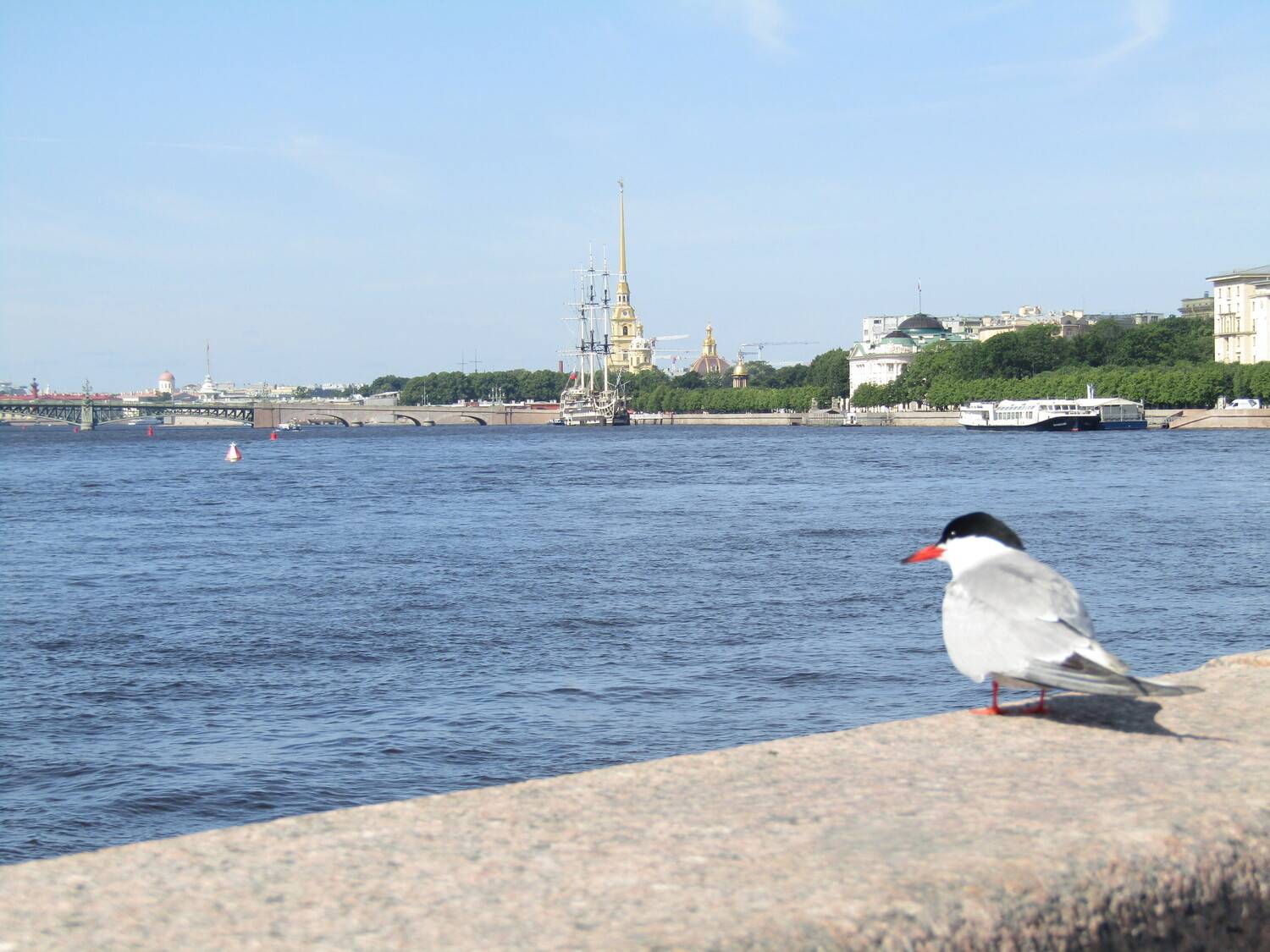 Photo #12963207
