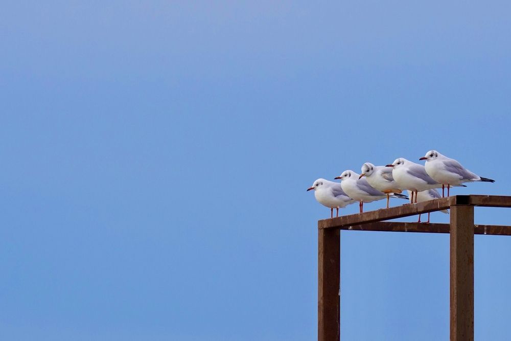 Фотография автора Андрей Груцинов