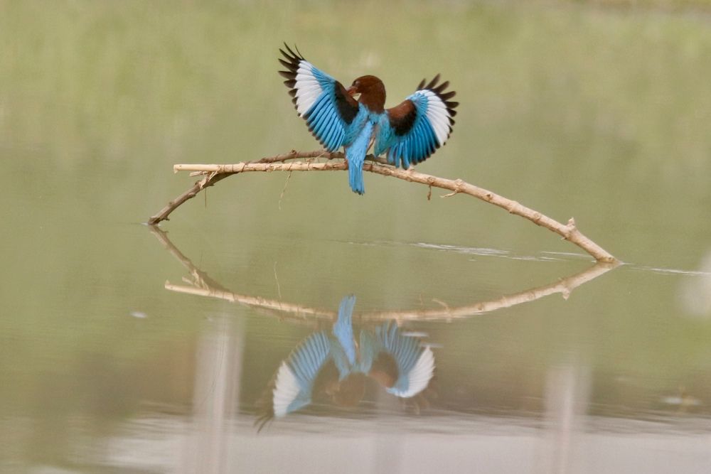 Фотография автора Washiful Majid