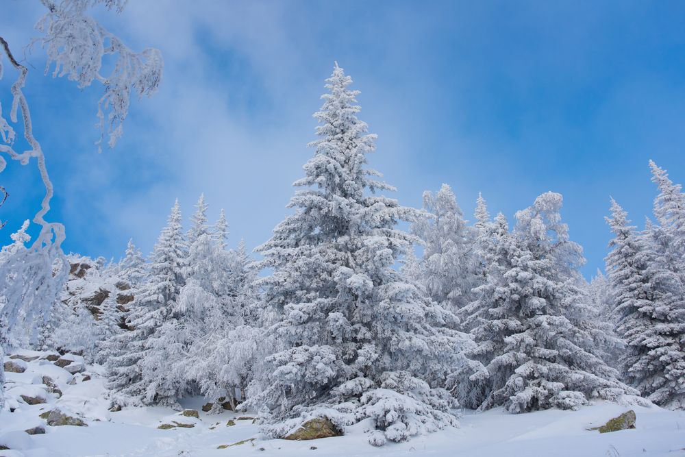 Снежная сказка