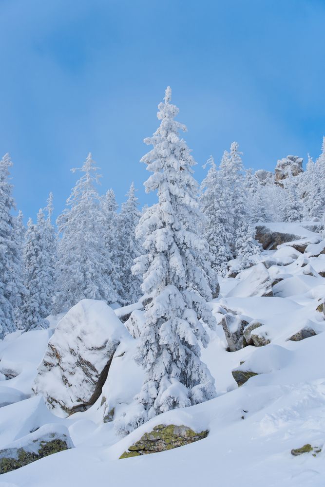 Photograph by Nataliya Smetneva