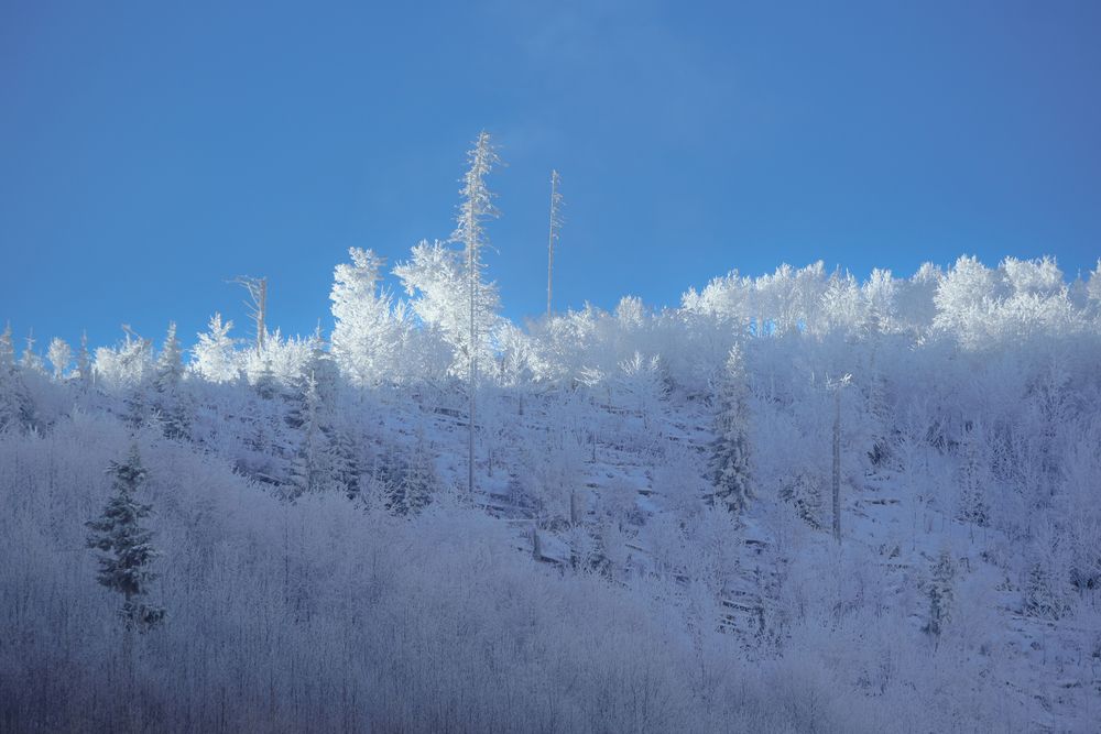 Photograph by Valdis Serzhans