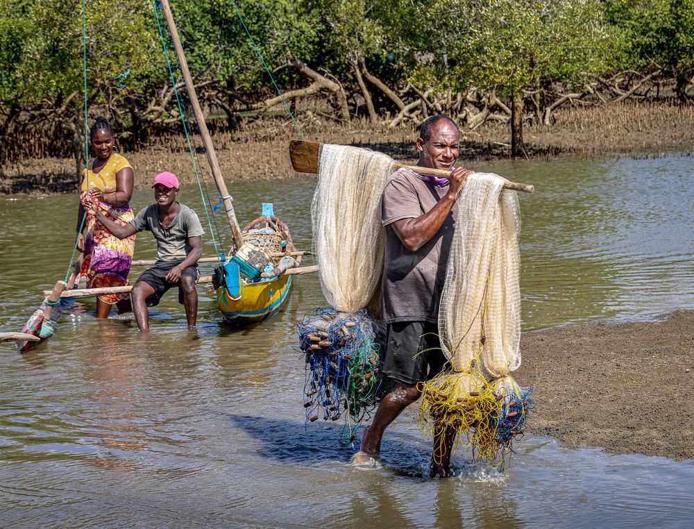 The Weight of Harvest