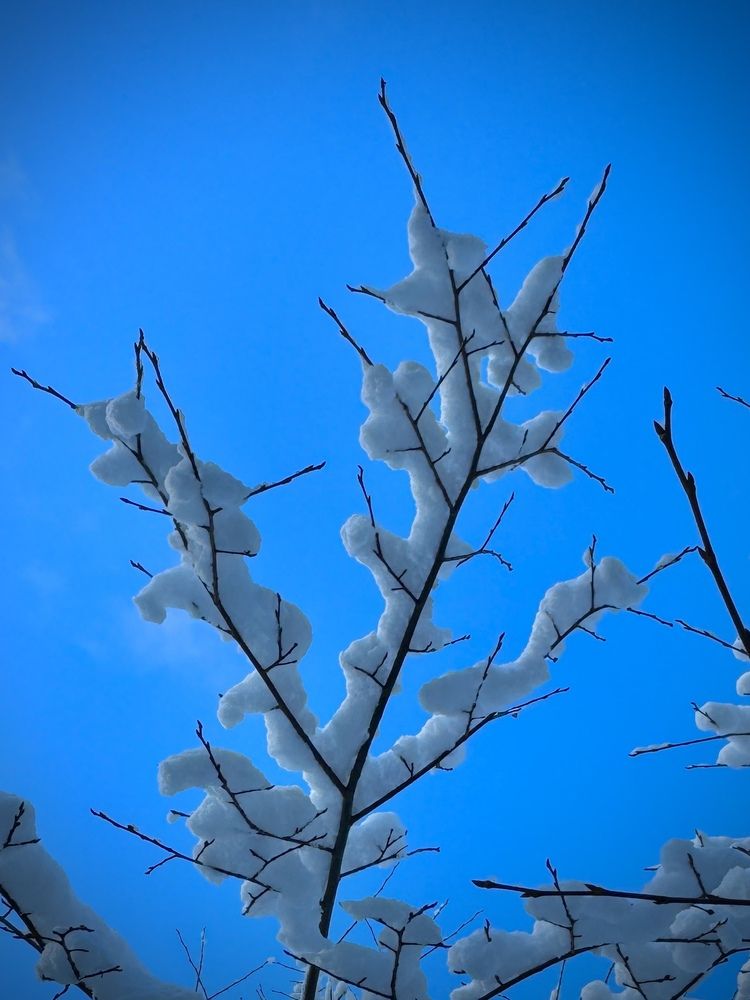 Photograph by Ксения Юртаева