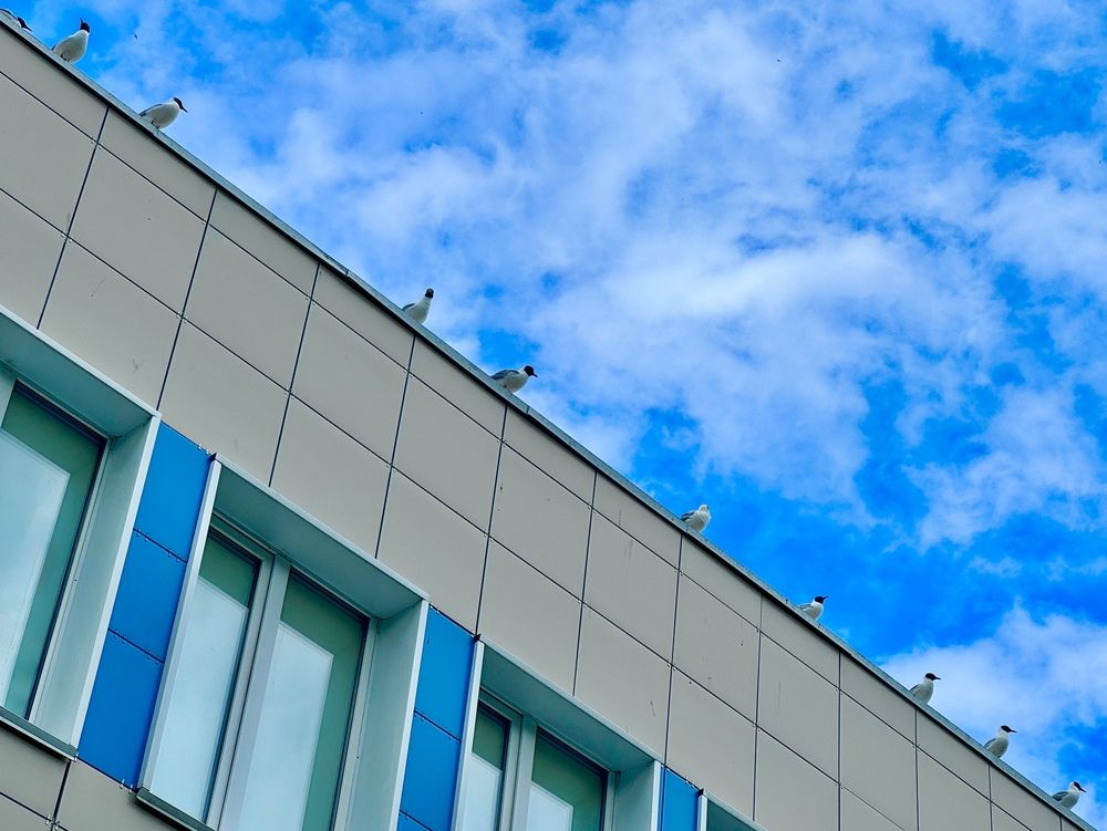 Photograph by Ксения Юртаева