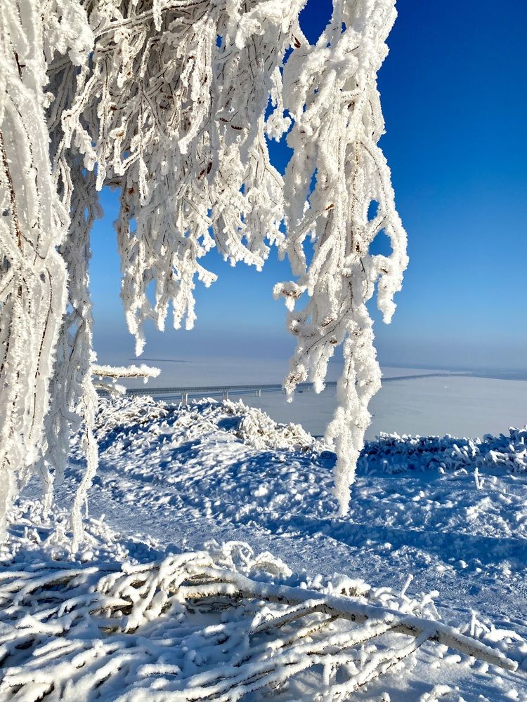 Photograph by Валентина Колесова