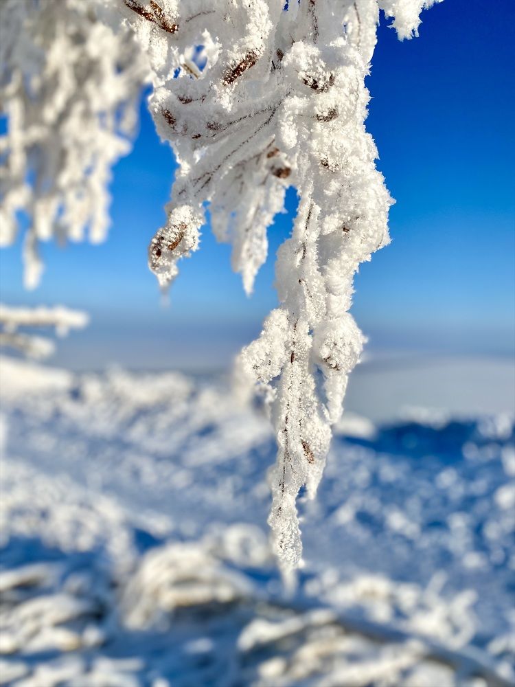 Photograph by Валентина Колесова