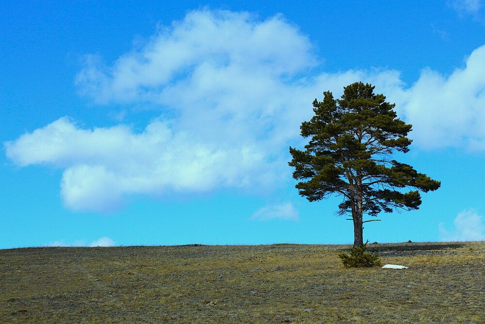 Photograph by Дмитрий Хохуля