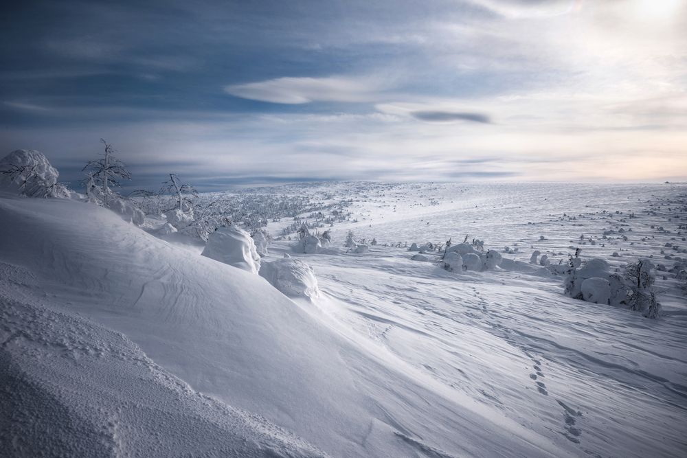 Photograph by Елена Соколова