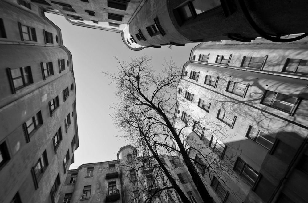 Photograph by Татьяна