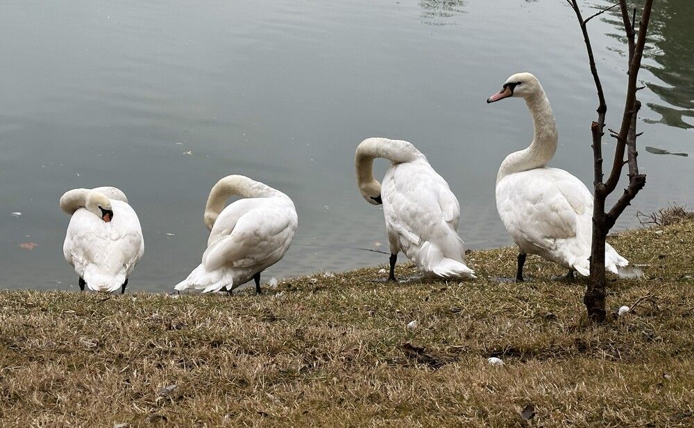 Фотография автора Natalia Kuzmina