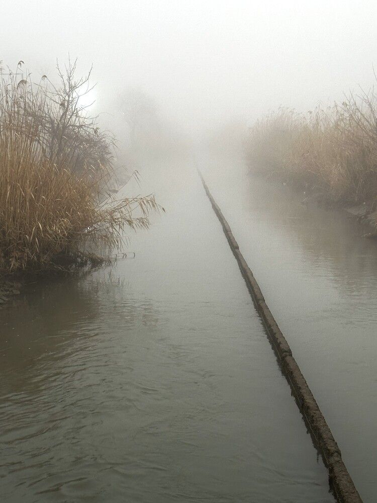 Фотография автора Natalia Kuzmina