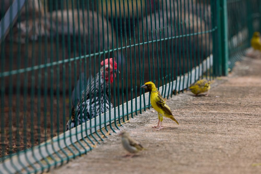 Фотография автора Natalia Kuzmina