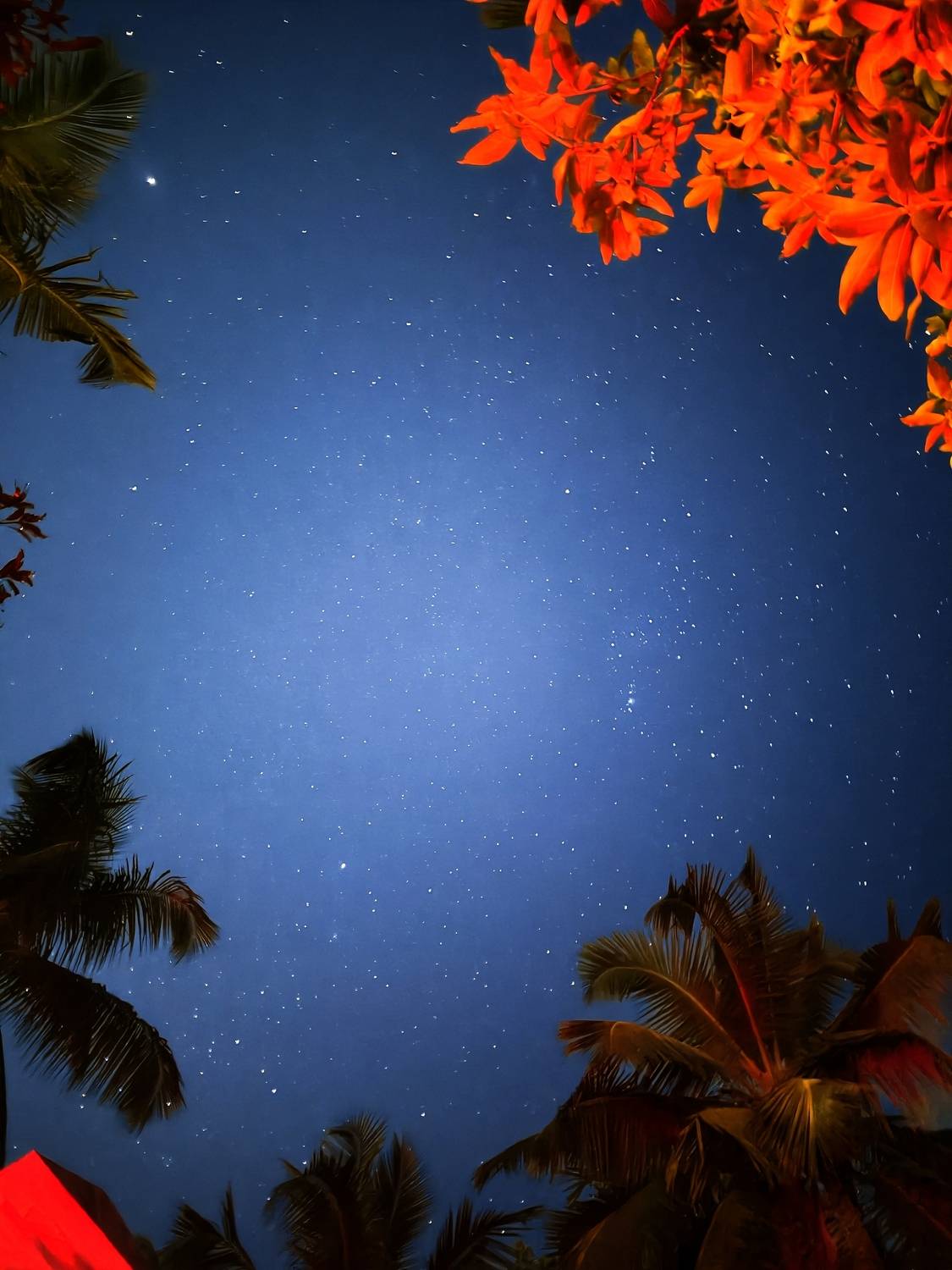 Night sky