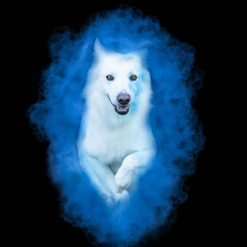 Photograph by Alessandro Grandoni